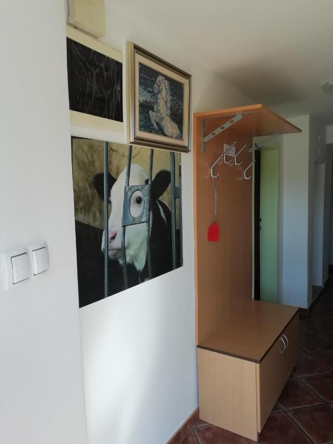 Apartma Pr' Vok Lesce  Extérieur photo